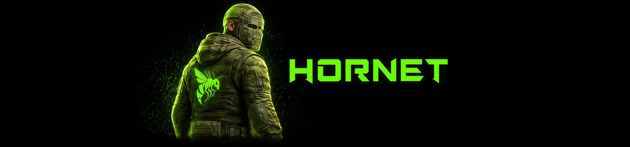 HORNET Banner2
